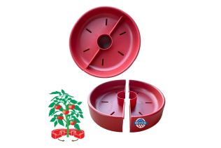 Tomato Crater Plant Watering Reservoir