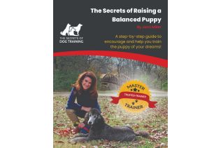 Dog Training Books