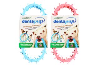 Dentapup