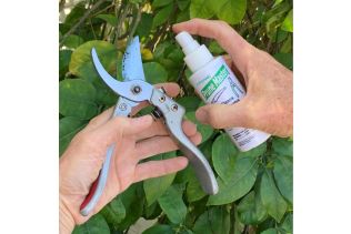 Prune Master Garden Tool Cleaner