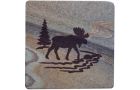 Wonderstone Sandstone Coasters-Moose in the Woods set of 4