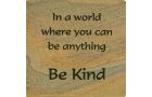 Wonderstone Sandstone Coasters-Be Kind set of 4