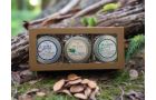 Linaria All Natural Herbal Salves Gift Box